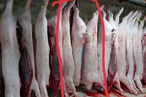 Diễn biến mới vụ khiếu nại cửa hàng C.P. Việt Nam: Xuất hiện thêm bằng chứng từ ông L.Q.N