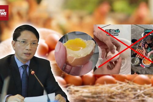 Câu view 'trứng gà giả': Sinh kế của người chăn nuôi gia cầm bị bóp nghẹt