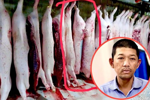 Vụ C.P. Việt Nam: Người tố tung thêm hình ảnh heo 'bất thường' ở lò mổ