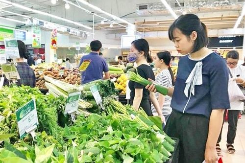 Hạn chế sản phẩm nhựa và túi ni lông:Cần hành lang pháp lý đủ mạnh