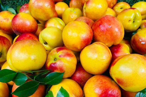 Loại quả giàu chất chống oxy hóa đang vào mùa, bán đầy chợ Việt giá hơn chục nghìn/kg