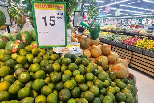 Phát triển nông sản hữu cơ: Hướng đi tất yếu