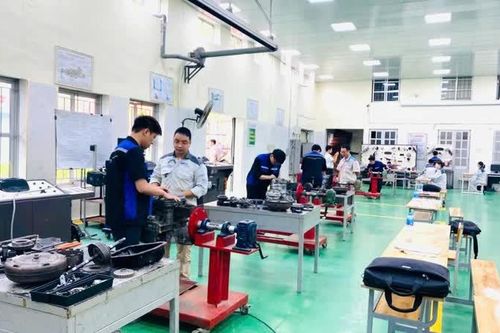 Doanh nghiệp hợp tác đào tạo, tuyển dụng sinh viên vào làm việc