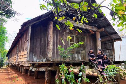 Tây Nguyên: Nhịp sống mới dưới những nếp nhà xưa