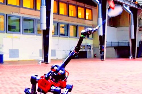 Robot bốn chân chơi cầu lông cùng con người
