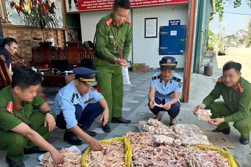 Tỉnh Nghệ An không để thực phẩm bẩn 'lộng hành'