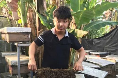 Nam sinh Cần Thơ khởi nghiệp từ ong chúa
