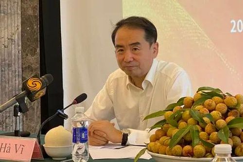 'Cùng thưởng thức vải đỏ - Cùng chia sẻ tình đồng chí'