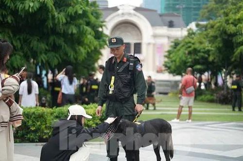 Người dân thích thú chụp ảnh cùng cảnh khuyển ở trung tâm thành phố