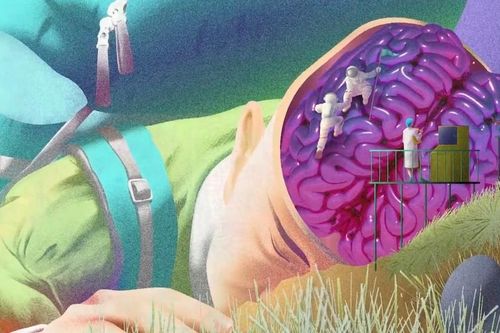 Giải mã trường hợp 'ngủ đông 24 ngày' duy nhất trên thế giới