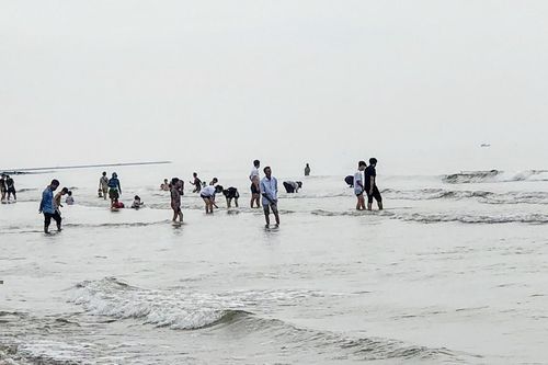 Người dân Nam Định đổ xô đi bắt 'lộc biển' kiếm tiền triệu