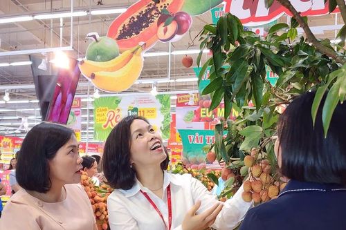 Đặc sản vải Thanh Hà có mặt tại các hệ thống siêu thị ở Hải Phòng
