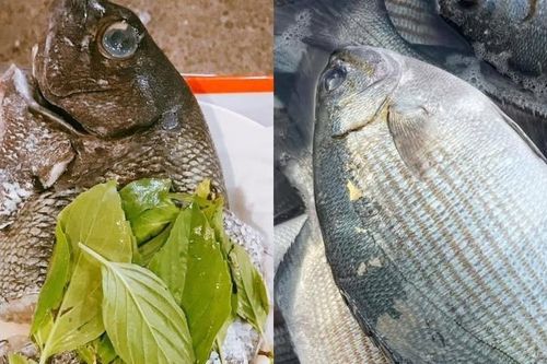 Đặc sản Lý Sơn có tên đáng sợ, thoắt ẩn thoắt hiện, có tiền cũng khó mua