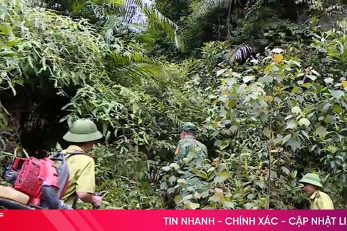Nơi tuyến đầu phòng lửa giữ rừng