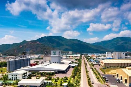 Bình Định:Chấp thuận đầu tư 700 tỷ đồng xây dựng nhà máy sản xuất giấy tại KCN Nhơn Hòa