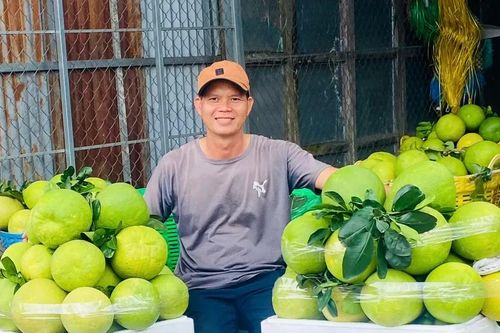 Nông dân ĐBSCL phá bỏ vườn cây đặc sản bưởi Năm Roi