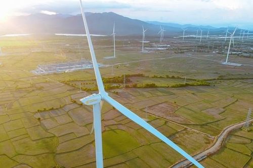 Điện gió: Nguồn năng lượng chiến lược trong phát triển kinh tế xanh