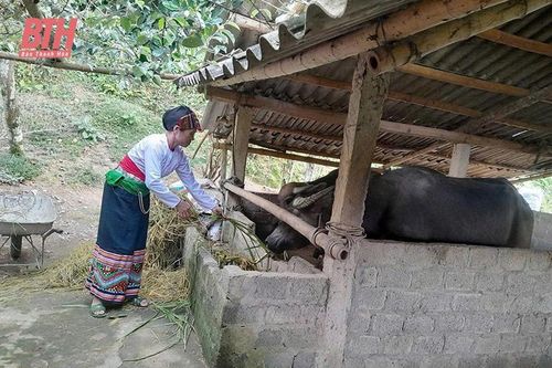 Thường Xuân phát huy hiệu quả nguồn vốn tín dụng chính sách