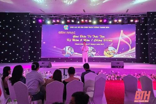 Đêm nhạc Blouse trắng gây Quỹ 'Dĩa cơm trên tường'