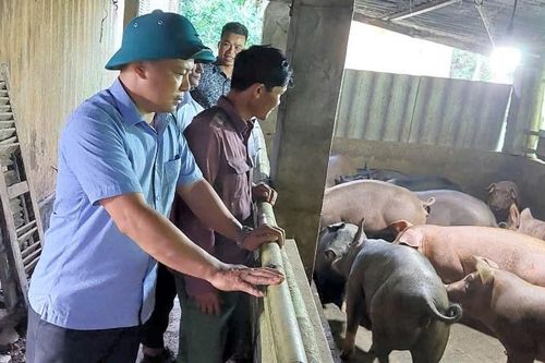 Thi đua chào mừng đại hội đảng bộ các cấp