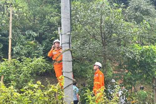 Tiếp tục thực hiện quyết liệt, hiệu quả các giải pháp bảo đảm cung ứng điện