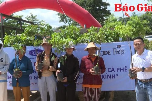 Hỗ trợ nông dân Chư Păh phát triển cà phê bền vững theo hướng giảm phát thải khí nhà kính