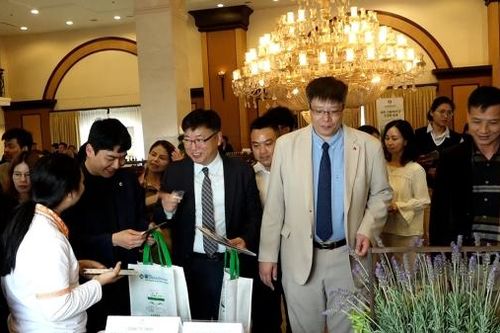 Lâm Đồng - Hàn Quốc kết nối văn hóa, thúc đẩy hợp tác, phát triển du lịch bền vững