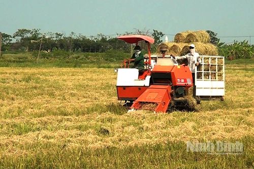 Nông nghiệp tuần hoàn: Chìa khóa cho tương lai bền vững