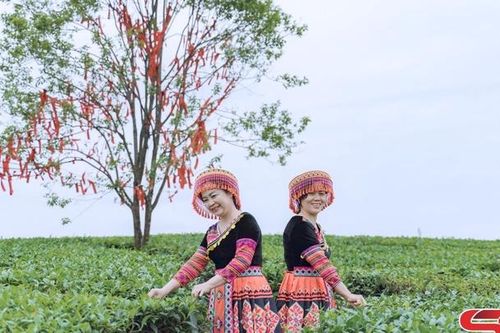 Mộc Châu - điểm đến lý tưởng dịp hè