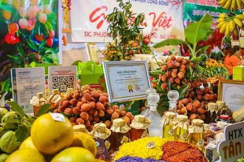 Khai mạc chương trình du lịch 'Vải thiều Lục Ngạn - Tinh hoa trái cây Việt'