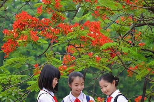 Bâng khuâng tháng 5