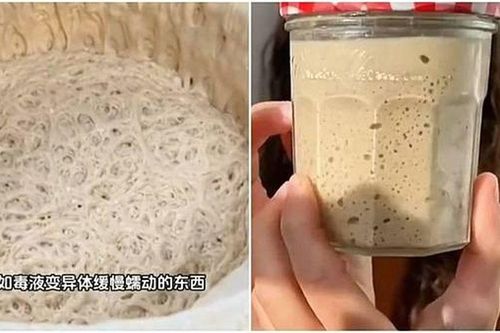 'Nuôi' men nở làm... thú cưng, trào lưu mới khiến giới trẻ Trung Quốc mê mẩn