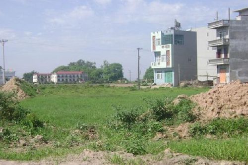 Khi đi xem mua đất, gia chủ cần lưu ý gì để biết đất lành hay dữ?
