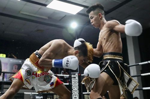 Trần Văn Thảo lỡ hẹn với đai WBO châu Á