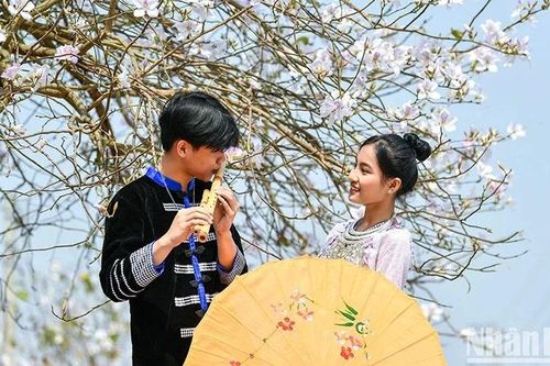 Gìn giữ bản sắc Việt với tầm nhìn toàn cầu