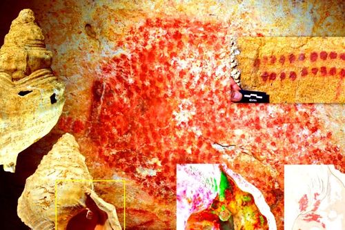 Phát hiện chấn động, tổ tiên dùng vỏ sò làm trang sức cổ xưa
