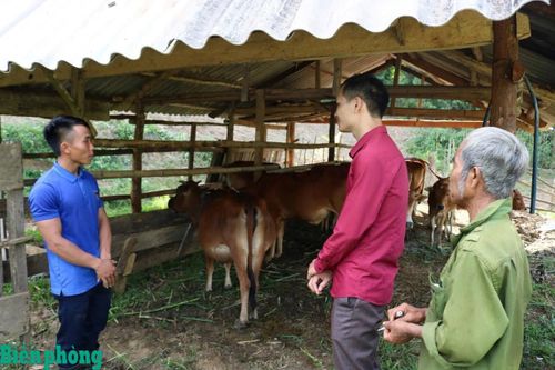 Chàng trai vùng cao không đầu hàng số phận