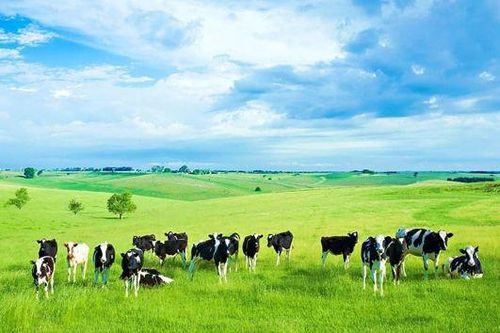 Tuân thủ pháp luật quốc tế - Hội nhập, tiếp cận chuẩn mực, tinh hoa văn hóa kinh doanh thế giới
