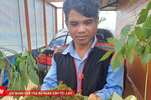 Khai mạc Phiên chợ sâm Ngọc Linh và Ngày hội văn hóa Xơ Đăng