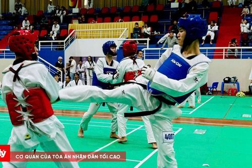 Festival Taekwondo Hà Nội mở rộng có hơn 1000 võ sĩ tranh tài