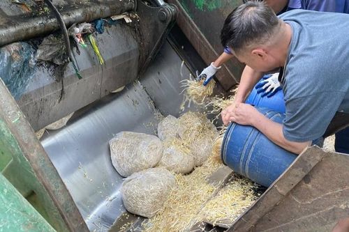 Lào Cai tiêu hủy hơn 3 tấn giá đỗ ngâm ủ hóa chất độc hại