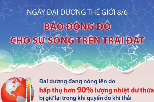 Ngày Đại dương thế giới 8/6: Báo động đỏ cho sự sống trên Trái Đất