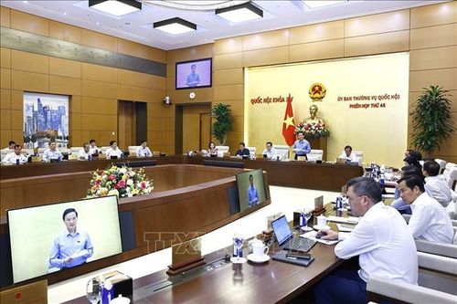 Trao quyền để địa phương tự quyết