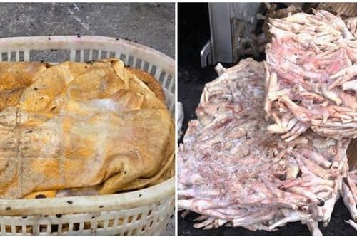Tiêu hủy hơn 25 tấn thực phẩm đông lạnh bốc mùi hôi thối, đang bị phân hủy