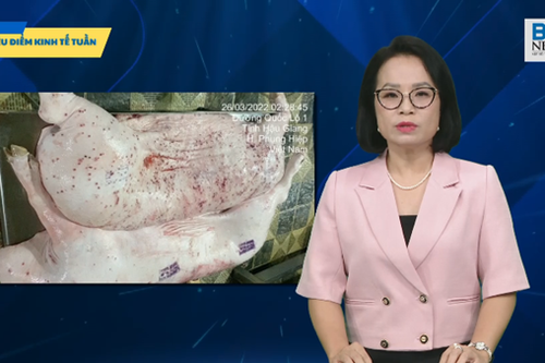 Tiêu điểm kinh tế