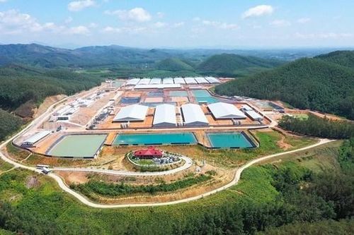 BAF Việt Nam đề xuất xây hai dự án cao tầng nuôi lợn đầu tiên tại Việt Nam