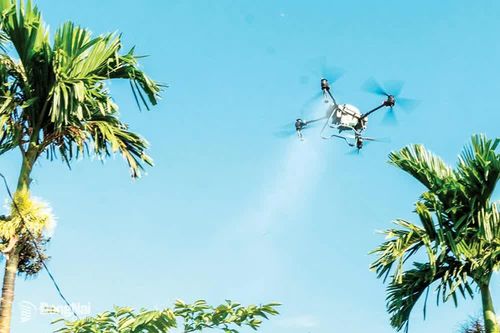 Máy bay không người lái phục vụ vào nông nghiệp
