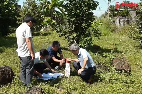 Nhiều video clip về đời sống dân sinh có lượt xem cao