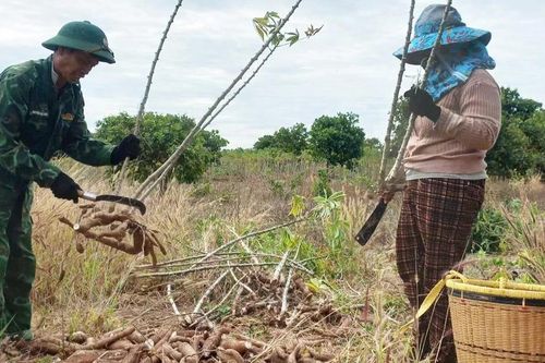 Đảng viên Biên phòng tham gia sinh hoạt chi bộ thôn và phụ trách hộ gia đình: Hiệu quả thiết thực