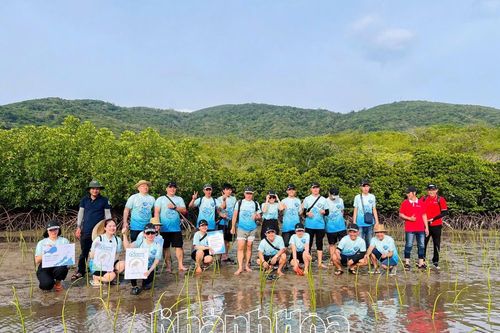 Khách sạn Novotel Nha Trang trồng 1.000 cây đước ở Đầm Bấy